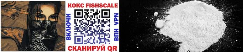 купить закладку  Верхнеуральск  COCAIN FishScale 
